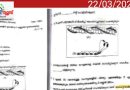 വീണ്ടും തെറ്റോട് തെറ്റ്!;ഹയർസെക്കൻഡറി പരീക്ഷചോദ്യങ്ങളിൽഅക്ഷരത്തെറ്റുകൾ