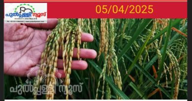 കര്‍ഷകരോട് ‘നോ’ പറഞ്ഞ് ബാങ്കുകള്‍; നെല്ലിന്റെ വില കിട്ടാന്‍ നെട്ടോട്ടം; വിഷുവിന് പട്ടിണിയോ?.