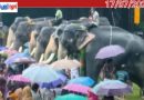 വടക്കുംനാഥ ക്ഷേത്രത്തിലെ ആനയൂട്ട് ഇന്ന്; വിപുലമായ ഒരുക്കങ്ങളുമായി ദേവസ്വം