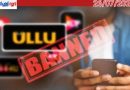 ഒടിടി പ്ലാറ്റ്ഫോമുകൾക്ക് പൂട്ട് വീണു: 20-ലധികം ആപ്പുകൾക്ക് കേന്ദ്രസർക്കാർ നിരോധനം!