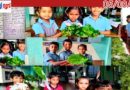 ഇലകളിലൂടെജീവിതബോധം;പത്തിലപ്പെരുമ നടത്തി