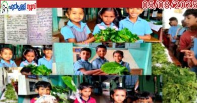 ഇലകളിലൂടെജീവിതബോധം;പത്തിലപ്പെരുമ നടത്തി