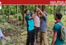 സൗരവേലിയുടെ തകരാറുകൾ പരിഹരിച്ച് വനം വകുപ്പിന്റെ സോളാർ ഫെൻസ് സർവീസ് സെന്റർ