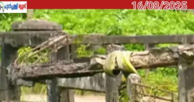 വയനാട് ആനപാറ പാലം അപകടാവസ്ഥയിൽ