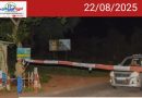 ബന്ദിപ്പൂര്‍ വനപാത: പച്ചക്കറി വാഹനങ്ങള്‍ക്ക് വൈകിട്ട് 6 മണി മുതല്‍ യാത്രാനിരോധനം ഏര്‍പ്പെടുത്തുന്നു; കേരളത്തിലേക്കുള്ള പച്ചക്കറി വരവിനെ ബാധിച്ചേക്കും