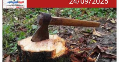 റവന്യു ഭൂമിയിലെ അനധികൃത ഈട്ടിമുറി: ഡിഎഫ്‌ഒയുടെ ഹര്‍ജിയില്‍ തീര്‍പ്പ് വൈകുന്നു