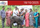 ഗോത്ര വർഗ്ഗ സങ്കേതങ്ങളിലെ വനിതകൾക്ക് പോത്തു വളർത്തൽ സംരംഭങ്ങളുമായി പുൽപ്പള്ളി ഗ്രാമപഞ്ചായത്ത്