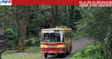 വന്യജീവികളുടെ ഫോട്ടോ എടുക്കാൻ ബസ് നിർത്തരുത്; കെഎസ്ആർടിസിക്ക് വനം വകുപ്പിന്റെ മുന്നറിയിപ്പ്