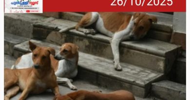 വിദേശ രാജ്യങ്ങള്‍ക്ക് മുന്നില്‍ രാജ്യത്തിന്റെ പ്രതിച്ഛായ ഇടിയുന്നു’; തെരുവുനായ വിഷയത്തില്‍ സംസ്ഥാനങ്ങളെ വിമര്‍ശിച്ച് സുപ്രീംകോടതി