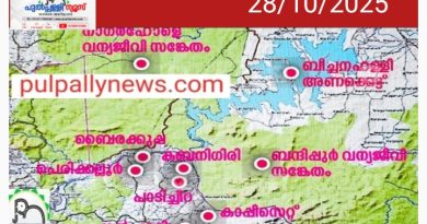 കാവേരി ജലവിഹിതം: കടമാൻതോട്, തോണ്ടാർ പദ്ധതികളുടെ ഡിപിആർ തയാറാക്കാൻ ടെൻഡർ ക്ഷണിച്ചു 6 മാസത്തിനകം സർവേ റിപ്പോർട്ട് ലഭിക്കണമെന്ന് കരാർ