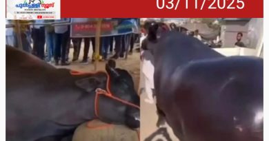 പുഷ്കർ മേളയിലെത്തിച്ച 21 കോടിയുടെ ഭീമൻ പോത്ത് ചത്തു; ഇൻഷുറൻസിനായി കൊന്നതെന്ന് ആരോപണം