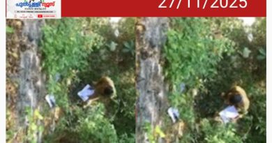 പാലക്കാട് വിദ്യാഭ്യാസ ധനസഹായത്തിനായി പട്ടികവർഗ്ഗ വിദ്യാർഥികൾ നൽകിയ അപേക്ഷകൾ കുറ്റിക്കാട്ടിൽ