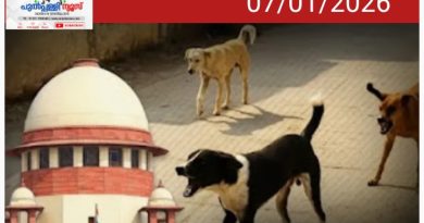 മൃഗസ്നേഹികളോടാണ്… കടിക്കാതിരിക്കാൻ നായകൾക്ക് കൗൺസിലിംഗ് നൽകുക മാത്രമാണ് ഇനി അവശേഷിക്കുന്നത്’; തെരുവുനായ പ്രശ്നത്തിൽ രൂക്ഷമായി വിമർശിച്ച് സുപ്രിംകോടതി