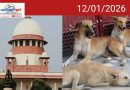 അത്ര സ്നേഹമുണ്ടെങ്കില്‍ നായ്ക്കളെ സ്വന്തം വീട്ടില്‍ കൊണ്ടുപോയി വളർത്തൂ?’ തെരുവുനായ കേസില്‍ മൃഗസ്നേഹികളോട് സുപ്രീം കോടതി