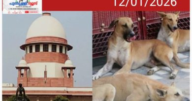 അത്ര സ്നേഹമുണ്ടെങ്കില്‍ നായ്ക്കളെ സ്വന്തം വീട്ടില്‍ കൊണ്ടുപോയി വളർത്തൂ?’ തെരുവുനായ കേസില്‍ മൃഗസ്നേഹികളോട് സുപ്രീം കോടതി