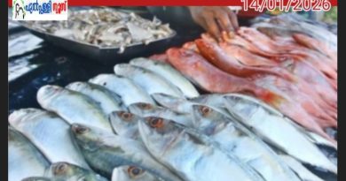 ചിക്കനു പിന്നാലെ കുതിച്ചു മത്സ്യവും ; വില വർദ്ധനയിൽ നടുവൊടിഞ്ഞു മലയാളി