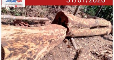 ഈട്ടിത്തടികൾ കണ്ടുകെട്ടിയതി നെതിരായ അപ്പീലുകൾ തള്ളി