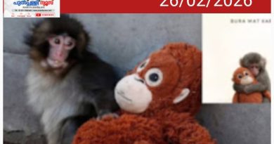 കുട്ടിക്കുരങ്ങൻ ‘പഞ്ചും’ പൊലീസിന്റെ ബോധവൽക്കരണവും; 112 ഹെൽപ്പ്ലൈൻ ജനകീയമാക്കാൻ പൊലീസ്