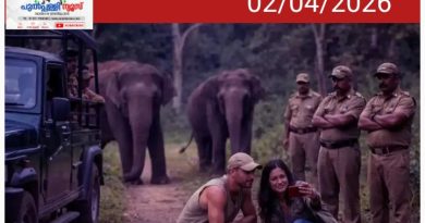 വന്യമൃഗങ്ങള്‍ക്കൊപ്പം സെല്‍ഫി; മസിനഗുഡിയില്‍ സഞ്ചാരികള്‍ക്ക് നിയന്ത്രണം, ലംഘിച്ചാല്‍ കര്‍ശന നടപടി.