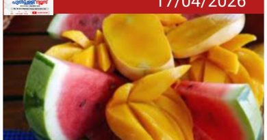 വേനൽ കാലത്ത് വാങ്ങുന്ന പഴങ്ങൾ സുരക്ഷിതമോ? പരിശോധന ശക്തമാക്കാൻ എഫ്എസ്എസ്എഐ