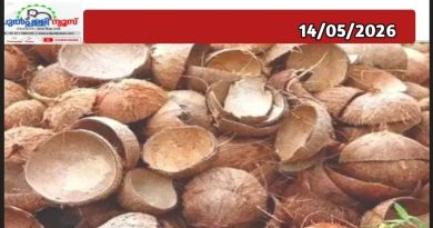 ഇത് ചിരട്ടയുടെ കാലം; വില കുതിച്ചുയരുന്നു