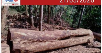 മുട്ടിൽ മരംമുറിക്കേസ്: പിടിച്ചെടുത്ത 112 മരങ്ങളുടെയും മഹസർ അന്വേഷണസംഘം കോടതിയിൽ സമർപ്പിച്ചു