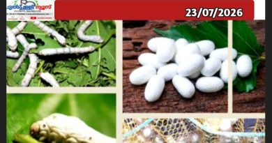 സിൽക്ക് ബോർഡിന്റെ എം.ആർ.എം.എ 2.0 ക്യാമ്പെയിൻ വയനാട്ടിലും