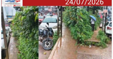 വള്ളിയൂർക്കാവ് റോഡിലെ ഫുട്പാത്ത് കാടുകയറി മൂടി; കാൽനടയാത്രക്കാർ ദുരിതത്തിൽ