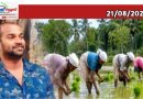 കമ്പളനാട്ടിയെ ആദിവാസി പാരമ്പര്യമായി മഹത്വവൽക്കരിക്കരുത്: ചരിത്രത്തിലെ ചൂഷണം മറക്കരുത്: മണിക്കുട്ടൻ പണിയൻ