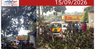 മാനന്തവാടി മെഡിക്കൽ കോളേജ് ആശുപത്രി വളപ്പിലെ മരച്ചില്ലകൾ ഭീഷണിയാവുന്നു; ചില്ലകൾ വെട്ടിമാറ്റണമെന്ന് ആവശ്യം