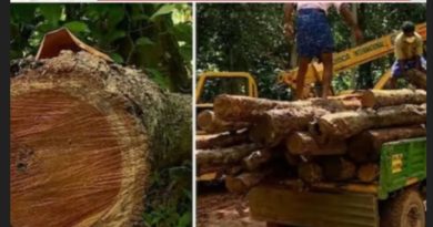 മുട്ടിൽ മരംമുറിക്കേസ്:വനംവകുപ്പിന്റെ കുറ്റപത്രം കോടതി മടക്കി