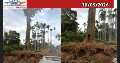 റോഡരികിൽ ഭീഷണി ഉയർത്തുന്ന മരം മുറിച്ചു മാറ്റുക: എച്ച്.ആർ.എഫ്