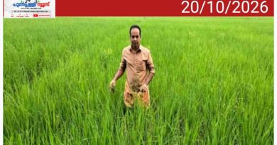 അധ്യാപനത്തിനൊപ്പം നെൽക്കൃഷിയിലും സജീവം; 17 ഏക്കറിൽ കൃഷിയിറക്കി ശ്രീജിത്ത് മാഷ്